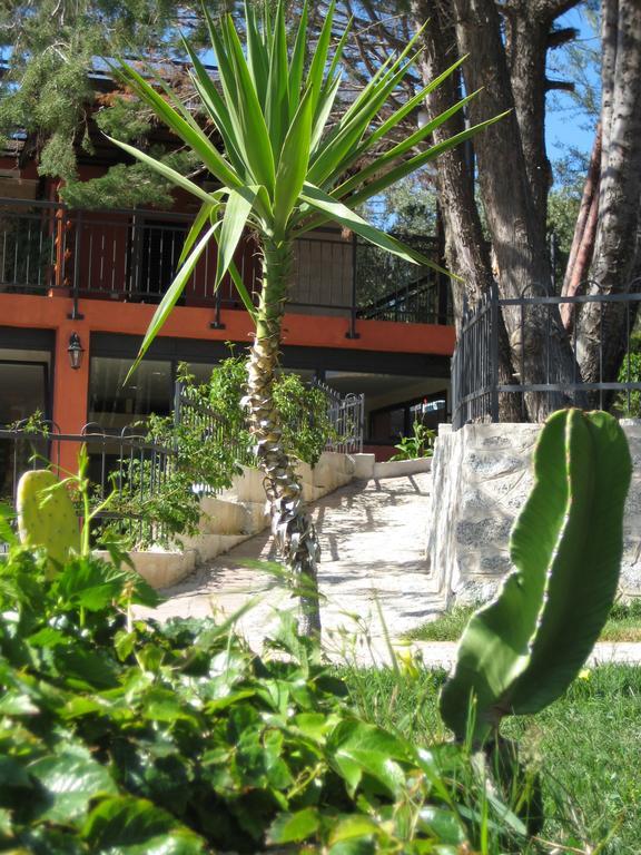 Residenza Mediterranea Zambrone Dış mekan fotoğraf